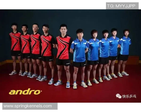 北京乒乓球队与上海乒乓球队的较量分析与战术探讨 北京乒乓球队与上海乒乓球队的较量分析与战术探讨