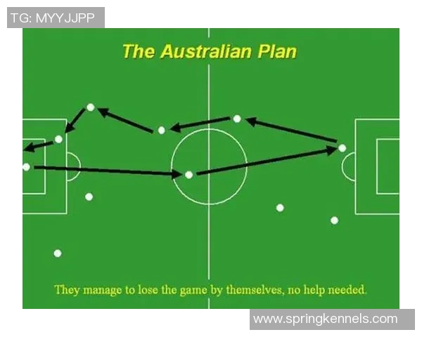 南京乒乓球队在世界杯预选赛中的灵活性表现与战术分析 南京乒乓球队在世界杯预选赛中的灵活性表现与战术分析