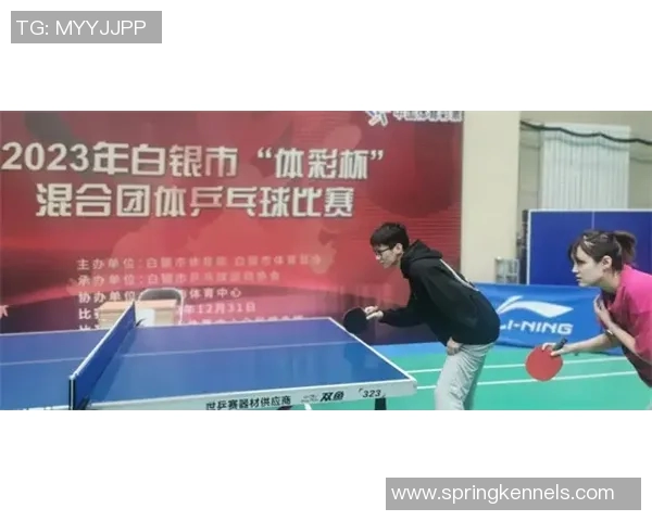 南京乒乓球队的拼搏历程与城市联赛的辉煌成就分享 南京乒乓球队的拼搏历程与城市联赛的辉煌成就分享
