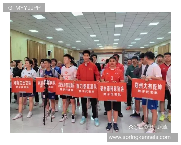 南京排球队荣登全国排球团队协作排行榜第三名展现卓越团队精神 南京排球队荣登全国排球团队协作排行榜第三名展现卓越团队精神