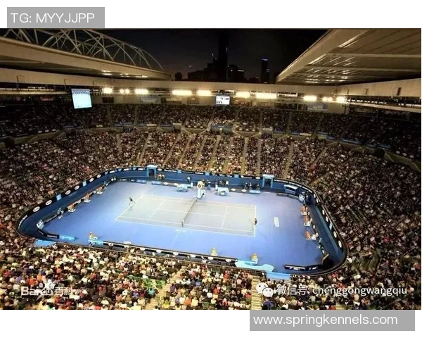 南京网球队大满贯赛事经验总结与表现分析 南京网球队大满贯赛事经验总结与表现分析