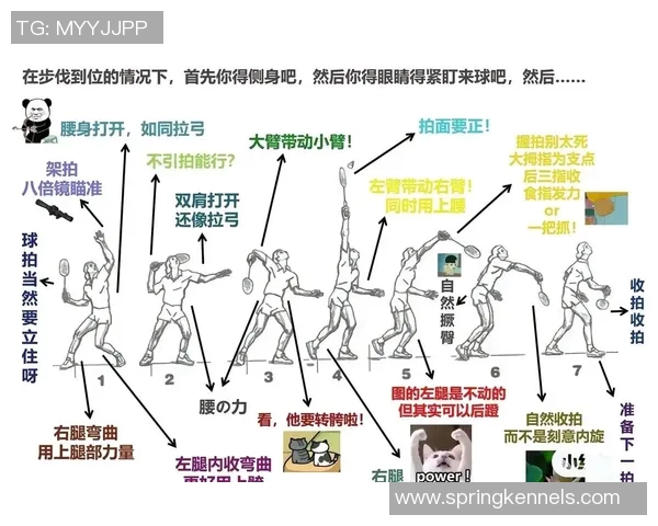 南京羽毛球队引领最新羽毛球技术十强榜单解析与展望 南京羽毛球队引领最新羽毛球技术十强榜单解析与展望