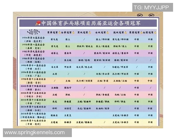 周娜的乒乓球人生深度对话:从梦想起航到世界舞台的辉煌历程 周娜的乒乓球人生深度对话:从梦想起航到世界舞台的辉煌历程