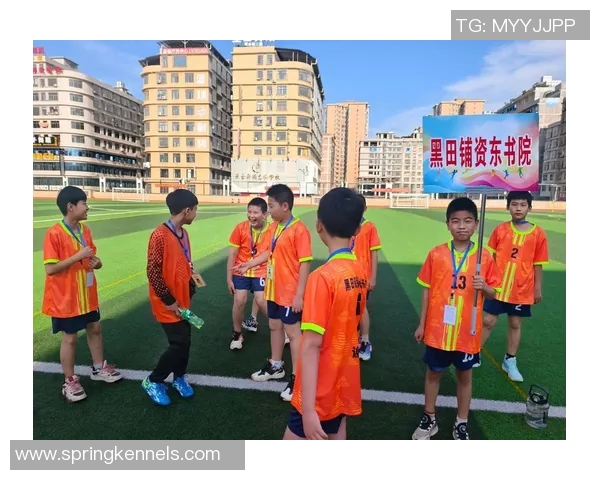 在绿茵场上闪耀的星光与梦想交织的足球诗篇 在绿茵场上闪耀的星光与梦想交织的足球诗篇