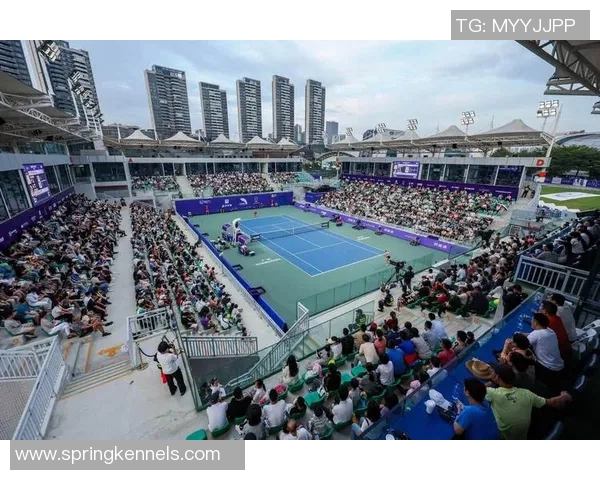 广州网球队在欧锦赛中的精彩表现与状态分析 广州网球队在欧锦赛中的精彩表现与状态分析