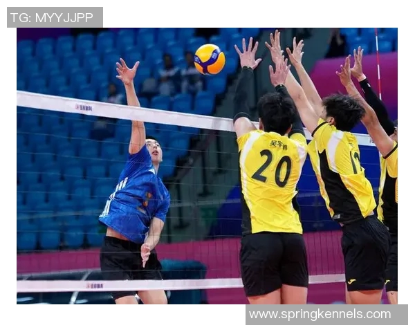 成都排球队在全国排球战术排行榜中荣登第八位展现强劲实力与潜力 成都排球队在全国排球战术排行榜中荣登第八位展现强劲实力与潜力