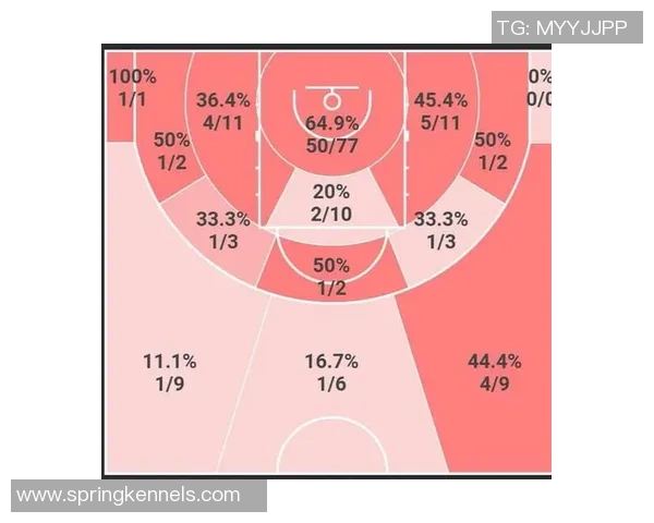 数据分析：深圳篮球队的力量表现