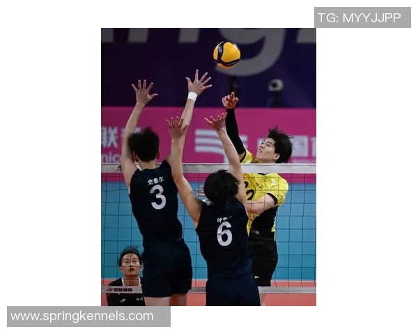 杭州排球队在全国排球团队协作排名中创新高展现团结力量与竞技精神 杭州排球队在全国排球团队协作排名中创新高展现团结力量与竞技精神