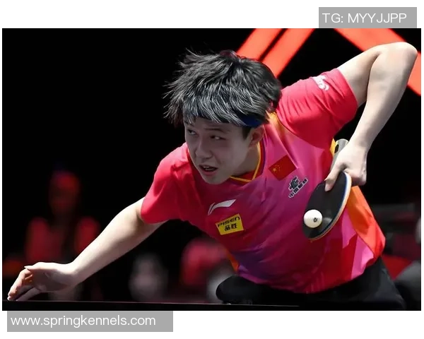 杭州乒乓球队心理素质的变革与发展探讨引发热议