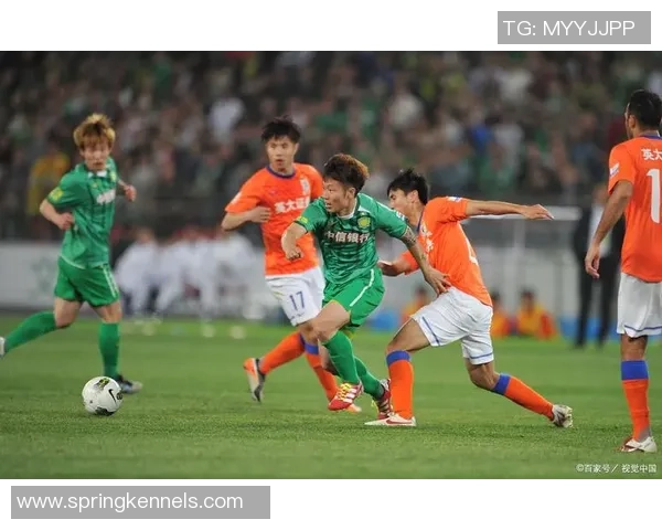 杭州篮球队状态引发热议球迷对球队表现褒贬不一