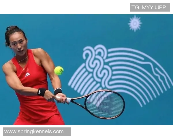 杭州网球队逆袭之路揭秘联合会杯特别报道带你回顾精彩瞬间与奋斗历程 杭州网球队逆袭之路揭秘联合会杯特别报道带你回顾精彩瞬间与奋斗历程