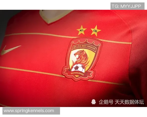 杭州足球队表现卓越最新耐力排行榜揭晓前十名球队一览 杭州足球队表现卓越最新耐力排行榜揭晓前十名球队一览