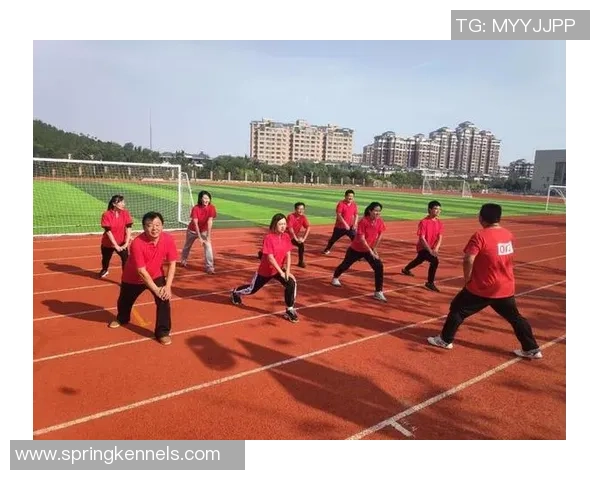 杭州羽毛球队心理素质分析与提升策略探讨