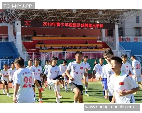 武汉足球之星崛起记:从校园到职业赛场的辉煌历程 武汉足球之星崛起记:从校园到职业赛场的辉煌历程