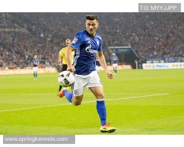 波斯尼亚足球明星的辉煌历程与对世界足球的影响探讨 波斯尼亚足球明星的辉煌历程与对世界足球的影响探讨