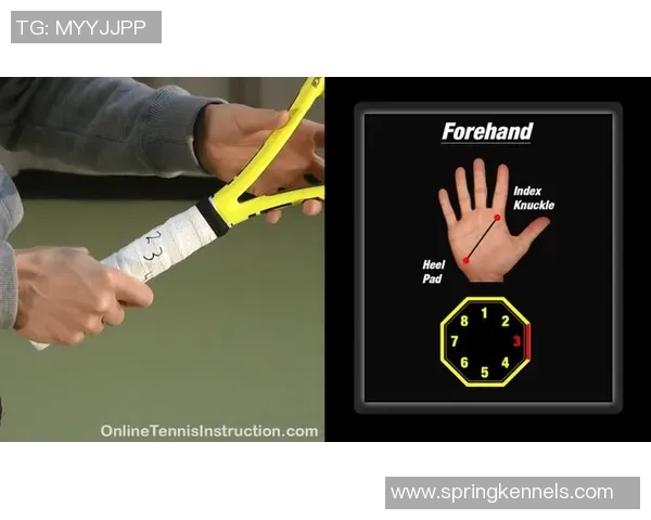 深圳网球队的节奏体系与网球战术的深度解析与应用探讨