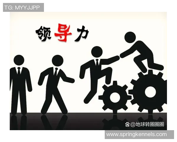 深圳羽毛球队运营分析：成功经验与面临挑战的深度探讨