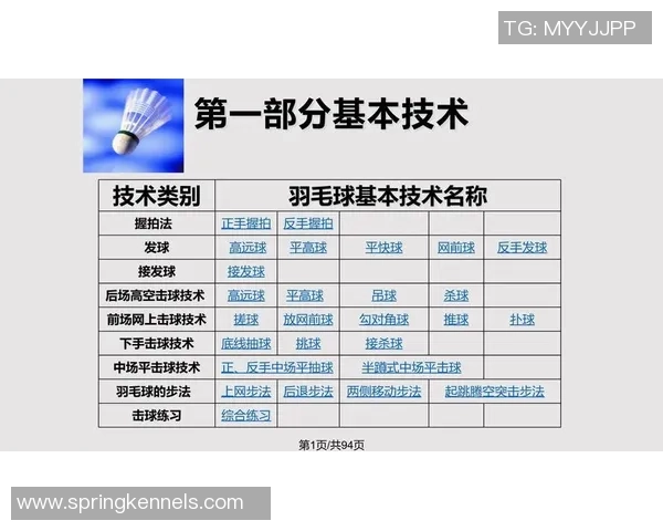 深圳羽毛球队在冠军赛中的节奏表现分析与战术解读 深圳羽毛球队在冠军赛中的节奏表现分析与战术解读