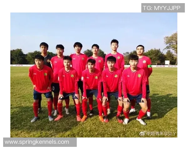 深圳足球队实力强劲荣登全国足球实力排行榜第二名