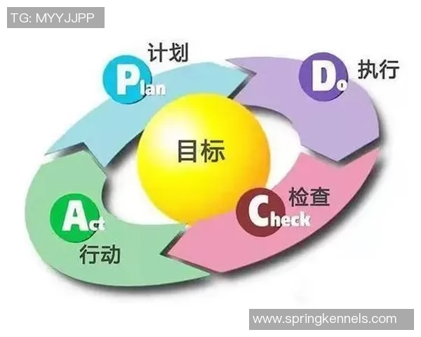 王丽独家揭秘羽毛球技巧与心得分享助你提升球技