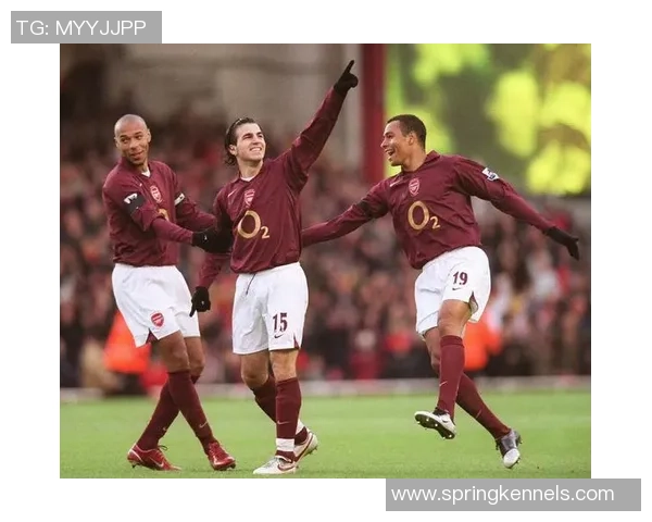 荷兰足球明星小法的辉煌职业生涯与成就回顾 荷兰足球明星小法的辉煌职业生涯与成就回顾