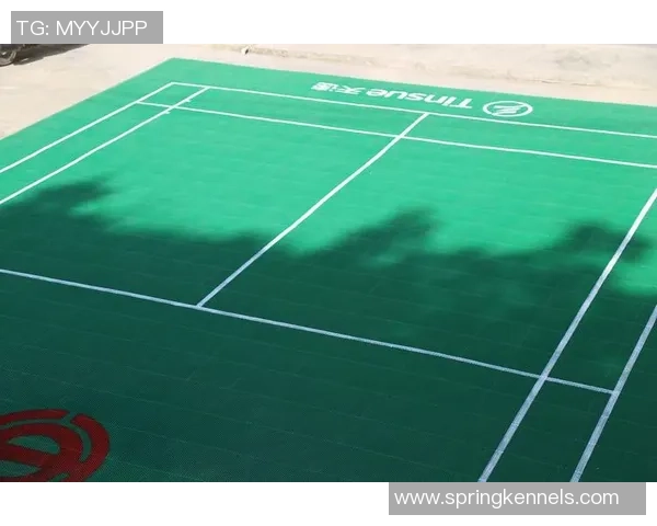 西安羽毛球队在钻石联赛中的默契配合与精彩表现分析 西安羽毛球队在钻石联赛中的默契配合与精彩表现分析