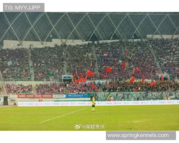 贵阳足球明星赛成员齐聚一堂展现风采与激情的盛会