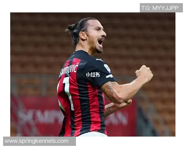 足球明星中后卫伊布的传奇职业生涯与场上风采解析 足球明星中后卫伊布的传奇职业生涯与场上风采解析