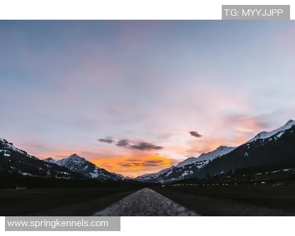 足球明星卡牌的魅力与价值解析以及如何收藏与投资 足球明星卡牌的魅力与价值解析以及如何收藏与投资