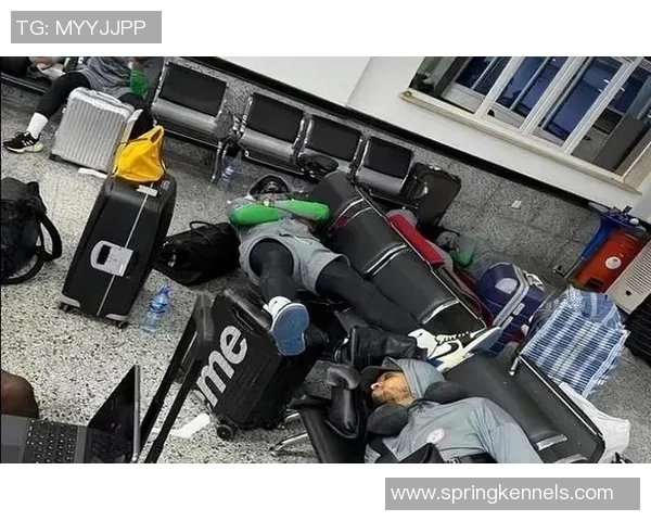 足球明星在机场的偶遇与签名会引发粉丝热潮与媒体关注 足球明星在机场的偶遇与签名会引发粉丝热潮与媒体关注