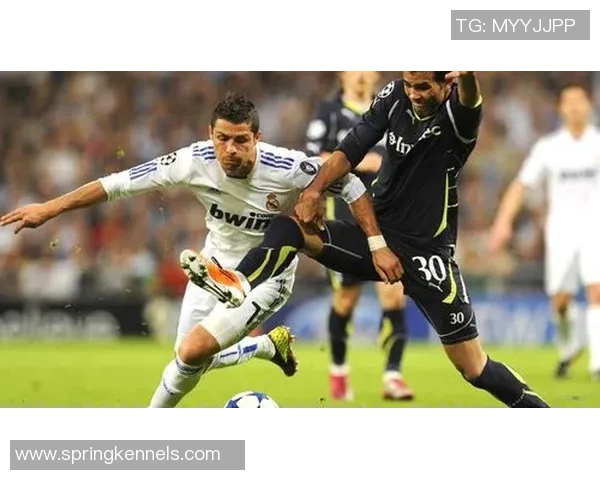 足球明星如何通过独特技巧与训练成就辉煌职业生涯的秘诀解析 足球明星如何通过独特技巧与训练成就辉煌职业生涯的秘诀解析