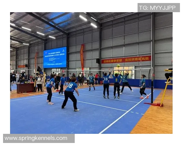 重庆排球队的包夹战术揭秘与深度分析如何提升排球竞技水平 重庆排球队的包夹战术揭秘与深度分析如何提升排球竞技水平