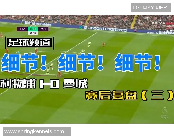 重庆足球队与深圳足球队赛后复盘个人能力分析与表现评估 重庆足球队与深圳足球队赛后复盘个人能力分析与表现评估