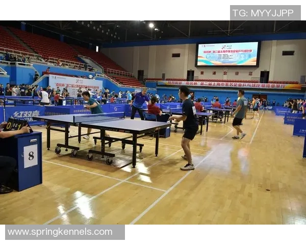 乒乓球专题：聚焦上海乒乓球队的配合