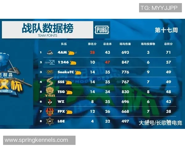 杯赛积分榜：南京篮球队以88分领跑