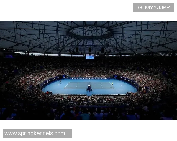 网球团队协作排名：上海网球队创新高