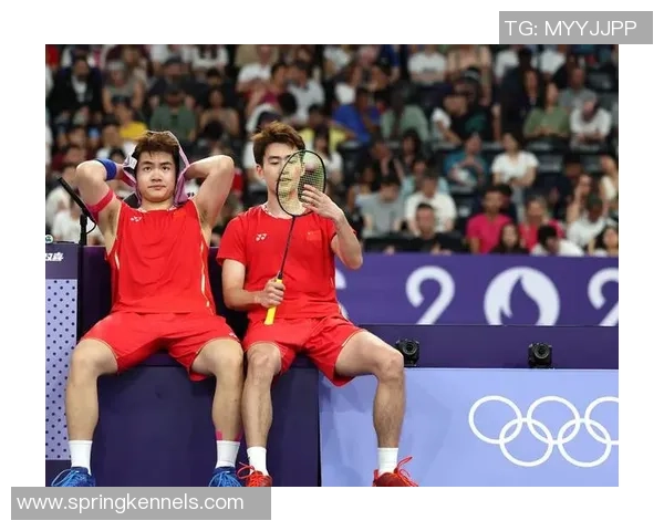 羽毛球力量排行榜：南京羽毛球队位居第4名