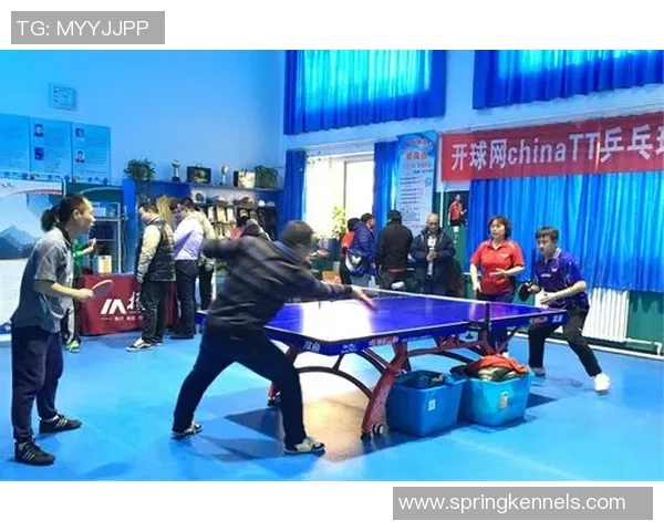 乒乓球巨献:探秘南京乒乓球队的比赛经验 乒乓球巨献:探秘南京乒乓球队的比赛经验