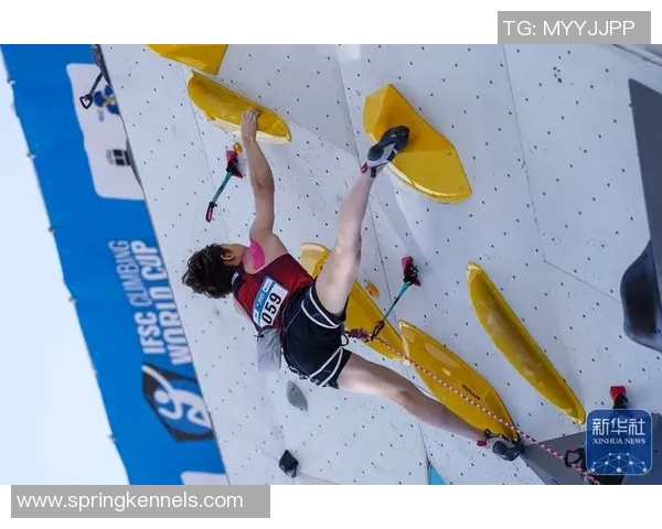 极限运动世界杯点评：西安攀岩队的速度表现