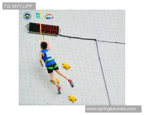 攀岩焦点：成都攀岩队的个人能力探讨