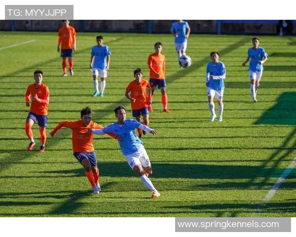 赛后复盘：上海足球队 vs 重庆足球队的耐力