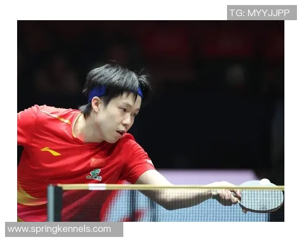 世界杯预选赛点评:重庆乒乓球队的状态表现 世界杯预选赛点评:重庆乒乓球队的状态表现