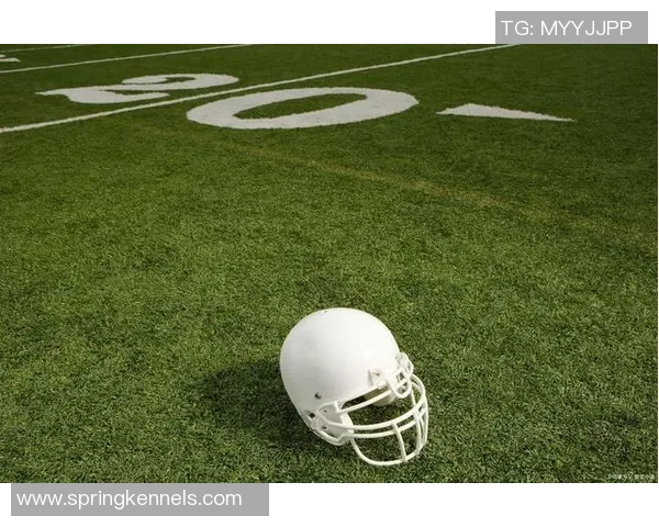 专业解读：成都排球队的中路突破打法