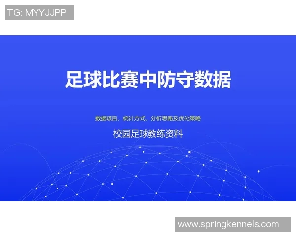 数据分析：杭州足球队的战术表现