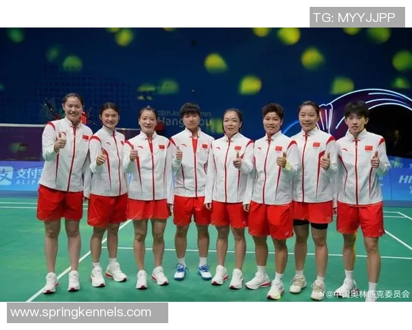 羽毛球评论：杭州羽毛球队的阵地战得失