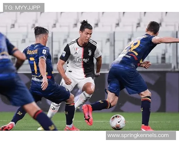 2026足球状态排名：深圳足球队创新高