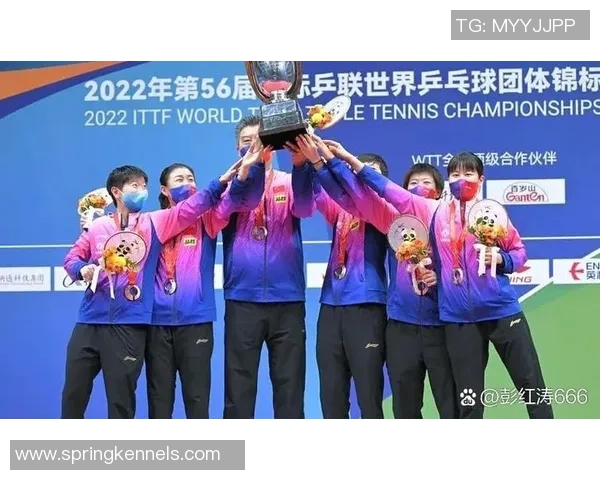 联赛点评：武汉乒乓球队的战术表现