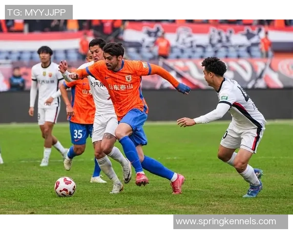 足球巨献：探秘上海足球队的配合