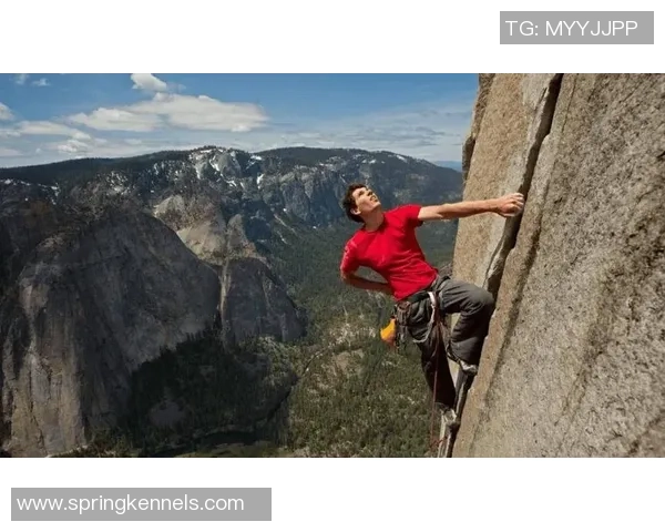 2026攀岩技术排名：重庆攀岩队创新高