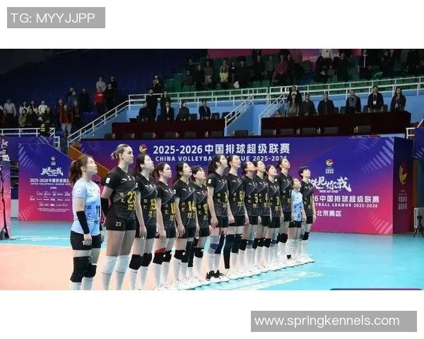 最新排球力量TOP10：成都排球队领跑